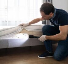 How To Inspect For Bed Bugs