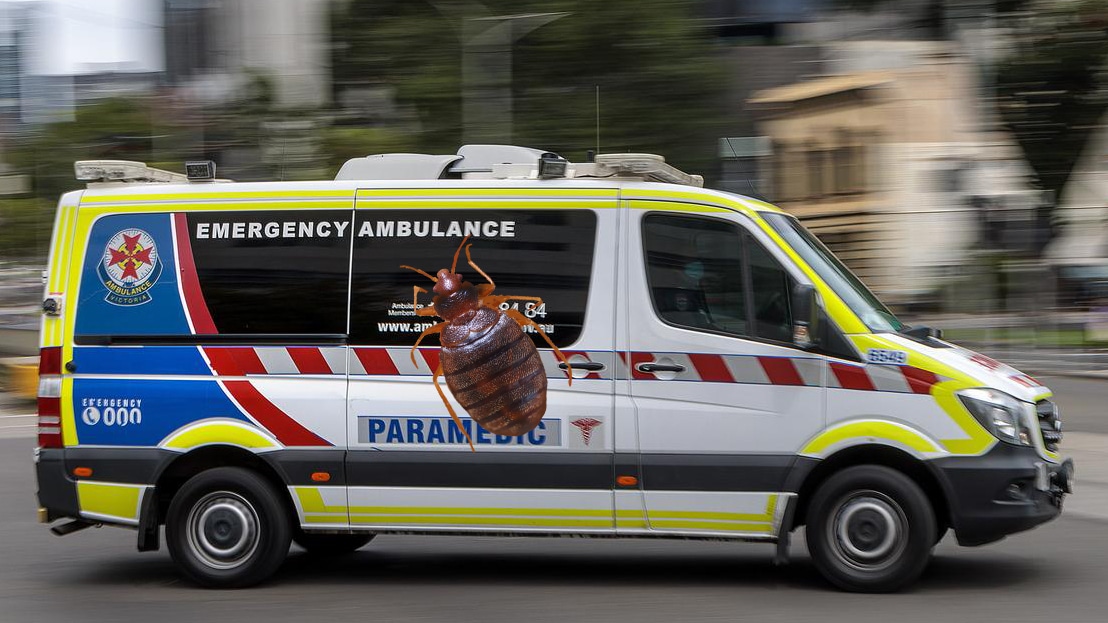 bed bugs in ambulances