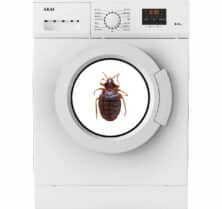 can bed bugs survive the washing machine