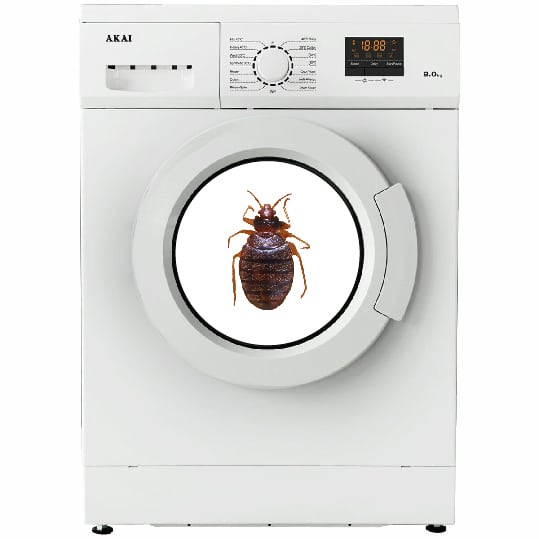 can bed bugs survive the washing machine