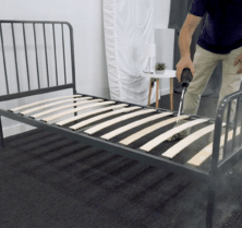 how to kill bed bugs permanently