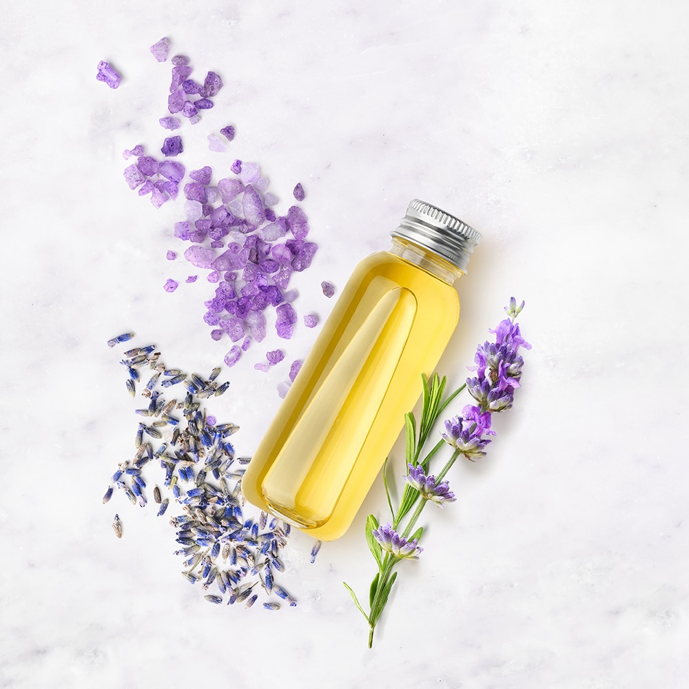 lavender oil repels bed bugs